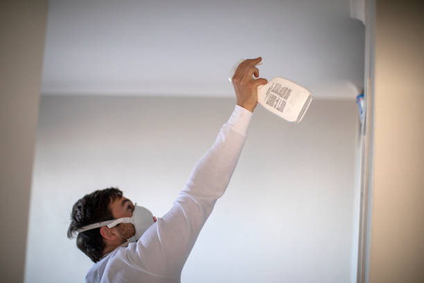 Mold Testing and Removal in Smithers, WV