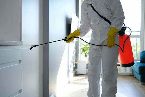 Best Attic Mold Removal  in Smithers, WV